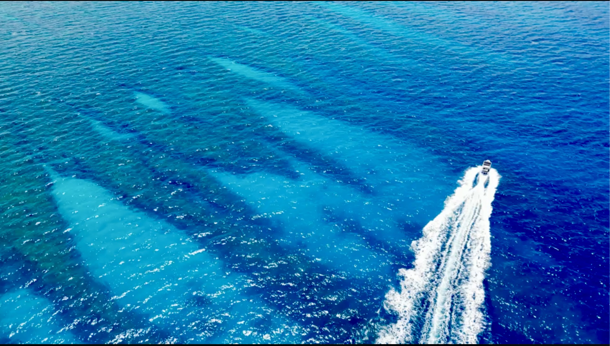 Snorkeling the Kohala Coast: Hawaii’s Best-Kept Secret